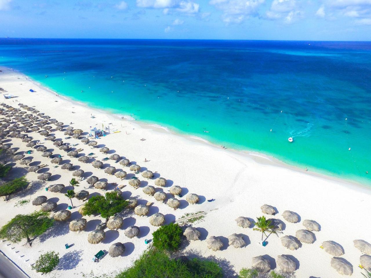 Casa Alessandra 1Bdr Palm Beach Kültér fotó